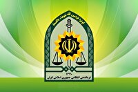 دستگیری سارق سیاه چادر با کشف ۷ مورد سرقت در سیرجان