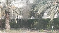پیش بینی افزایش رطوبت و شرجی هوا در جنوب غرب خوزستان