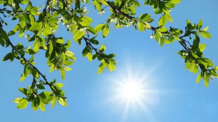 پایداری هوای کردستان؛ افزایش جزئی دما از اواسط هفته پایداری هوای کردستان؛ افزایش جزئی دما از اواسط هفته