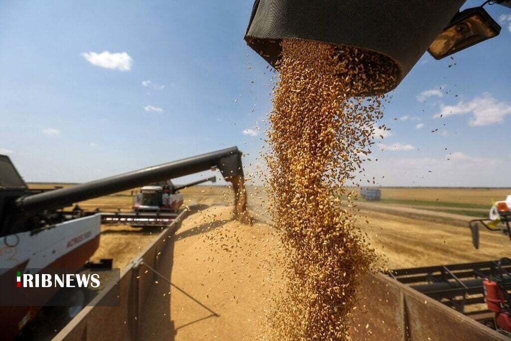 خرید تضمینی گندم در خراسانشمالی به ۳۴ هزار تن رسید خرید تضمینی گندم در خراسانشمالی به ۳۴ هزار تن رسید