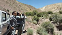 تشکیل ۲۲۱ پرونده قضایی برای متخلفان زیست‌محیطی زنجان