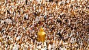 در عمق جان دلدادگان، امیدی به نام مهدی (عج) می‌تپد