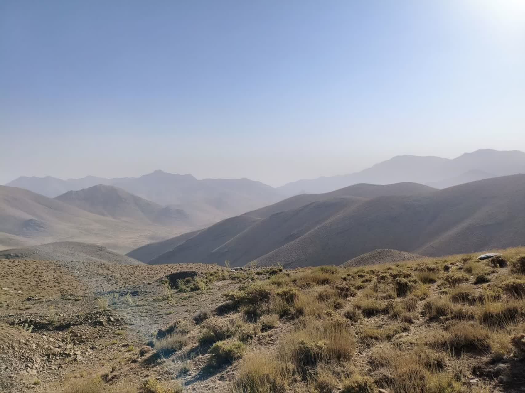 سرشماری تابستانه در منطقه شکار ممنوع کهک پایان یافت