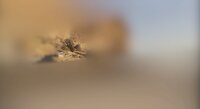 سپاه: زاغه مهمات پایگاه آمریکا در علی السالم متلاشی شد