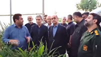 ضرورت حمایت از توسعه کشاورزی دانش‌بنیان و کشت محصولات دارای ارزش اقتصادی