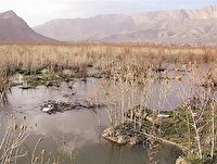 جلوگیری از تبدیل جازموریان به کانون بزرگ گرد و غبار