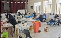 خدمات دندانپزشکی رایگان جهادگران در کوهپایه