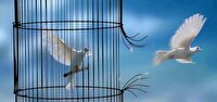 رهایی یک  زندانی از بند در نایین