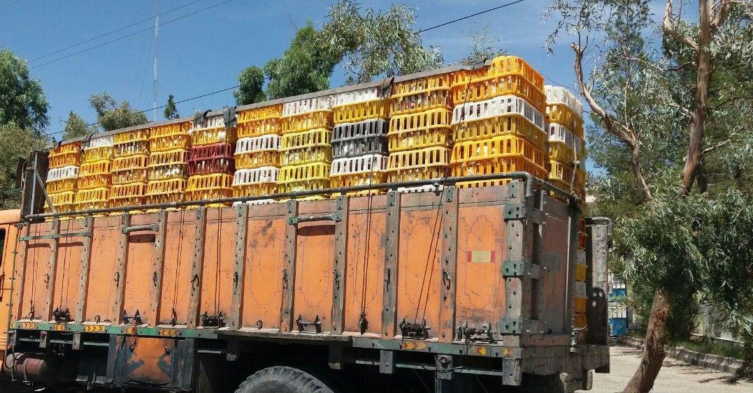 توقیف خودروی طیور زنده بدون مجوز دامپزشکی در بندر انزلی توقیف خودروی طیور زنده بدون مجوز دامپزشکی در بندر انزلی