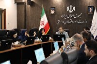 ارزیابی روند پرداخت تسهیلات تبصره‌های تولید و اشتغال در وزارت اقتصاد