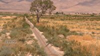 اجرای طرح بتنی کردن کانال های آب کشاورزی در سمنان