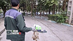 زباله‌های رها شده و خم شدن قامت نارنجی‌پوشان شهر
