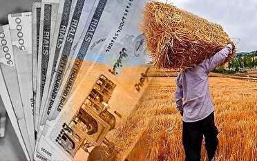 پرداخت ۱۱ همت از مطالبات گندمکاران فارس