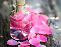 گلاب؛ از گل محمدی تا ترکیبات موثر دارویی