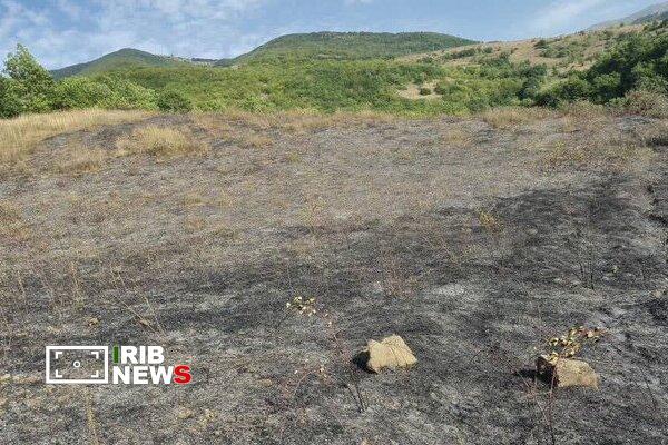 مهار آتش در چهار هکتار از جنگل‌های ارسباران