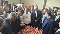 تقویت زنجیره ارزش محصولات کشاورزی در مهاباد، سردخانه و واحد سورتینگ ۲۲۰۰ تنی افتتاح شد