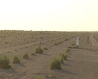 بازدید ازعملیات بیابان زدایی در منطقه نواران بخش مرکزی قم