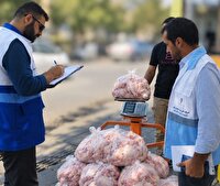 جمع‌آوری ۱۲۰ کیلوگرم مرغ   فاقد شرایط بهداشتی در پلدشت