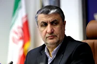 رئیس سازمان انرژی اتمی ایران عازم وین شد