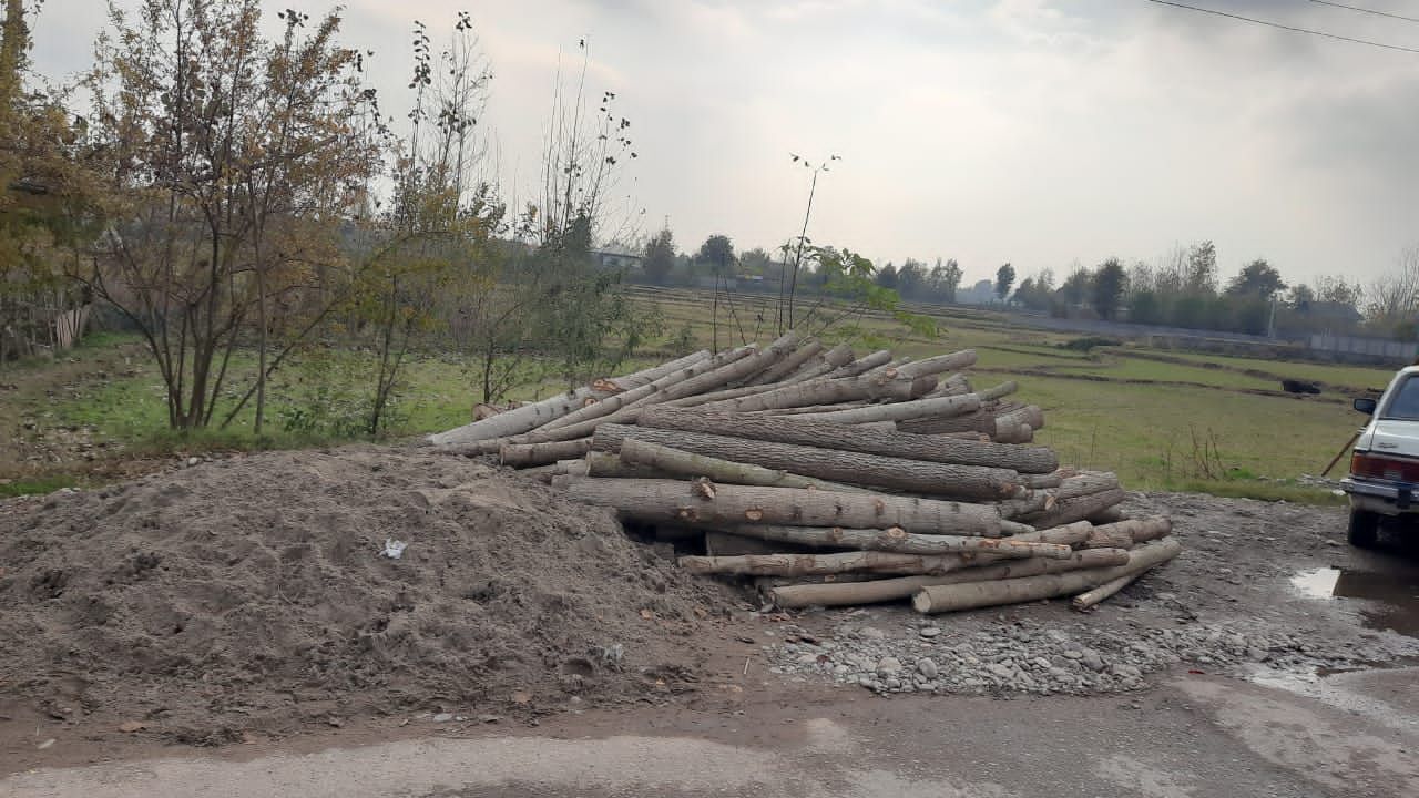 کشف ۱۷ تن چوب قاچاق در آستانه اشرفیه
